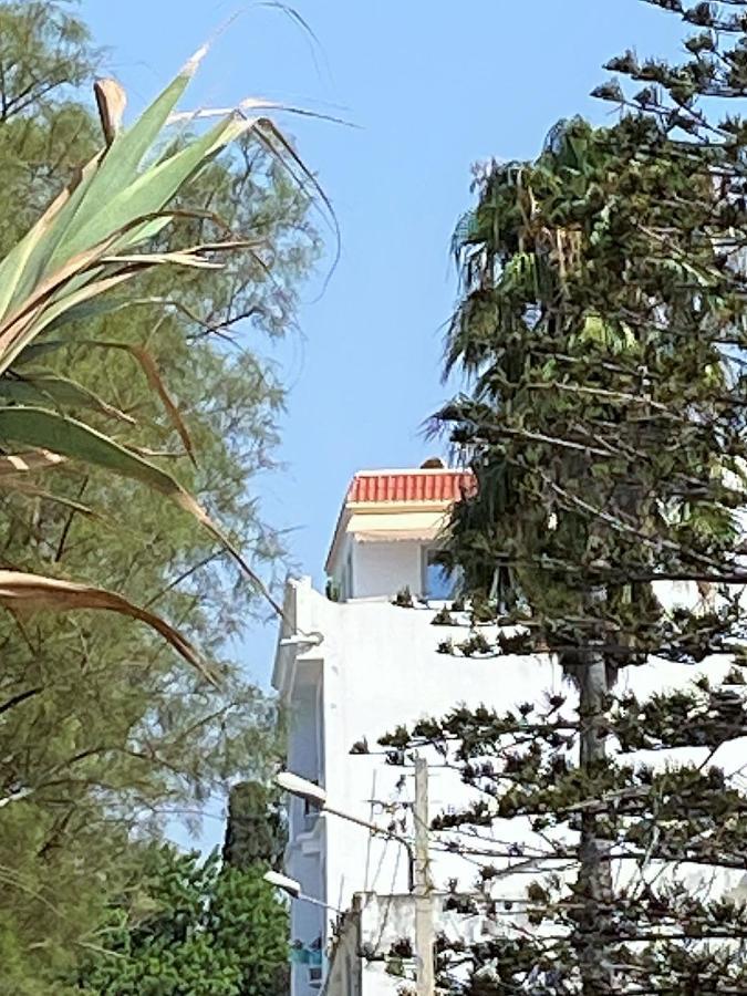 Roof Top Pied Dans L'Eau Panoramic View, 80 Meters From Seaside Hammamet Esterno foto